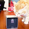 petcube & cat