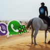 Дуров на коне, мессенджеры Viber, ICQ, WhatsApp, Telegram сравнение